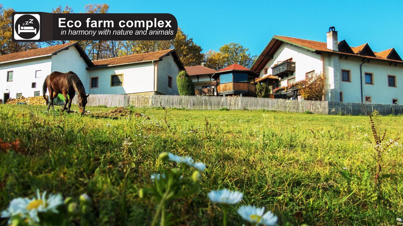 Eco Farm Milanovic Guest House Despotovac Exterior photo